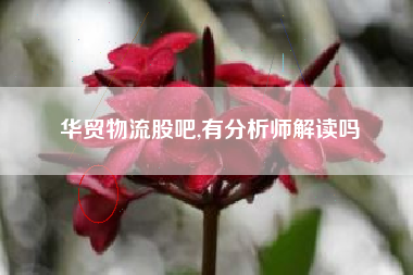 华贸物流股吧,有分析师解读吗