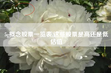 5g概念股票一览表,这些股票是高还是低估值