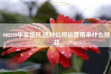 002259华宝信托,这对公司运营带来什么挑战