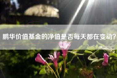 鹏华价值基金的净值是否每天都在变动？