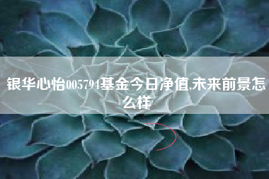 银华心怡005794基金今日净值,未来前景怎么样