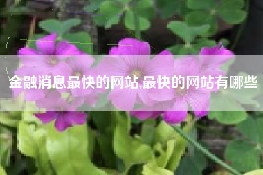 金融消息最快的网站,最快的网站有哪些