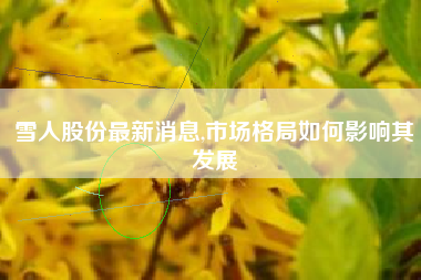 雪人股份最新消息,市场格局如何影响其发展