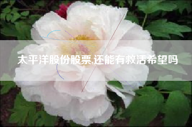 太平洋股份股票,还能有救活希望吗
