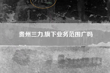 贵州三力,旗下业务范围广吗