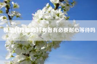 模塑科技股吧,持有者有必要耐心等待吗