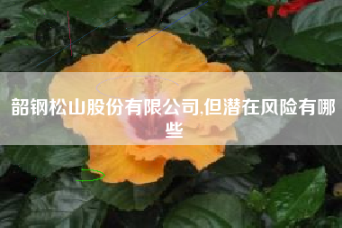 韶钢松山股份有限公司,但潜在风险有哪些