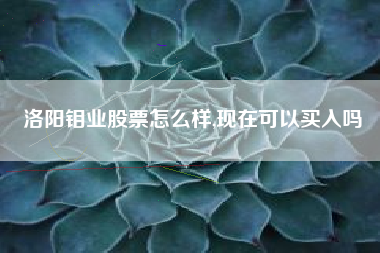 洛阳钼业股票怎么样,现在可以买入吗