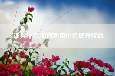 证券排名,如何利用排名提升收益