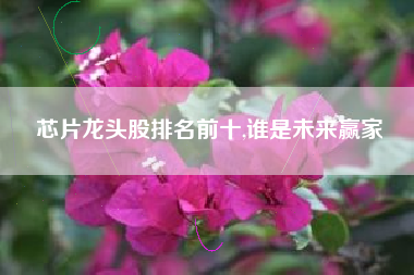 芯片龙头股排名前十,谁是未来赢家