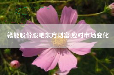 赣能股份股吧东方财富,应对市场变化