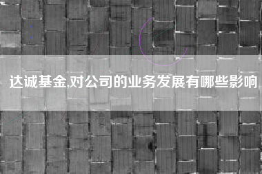 达诚基金,对公司的业务发展有哪些影响