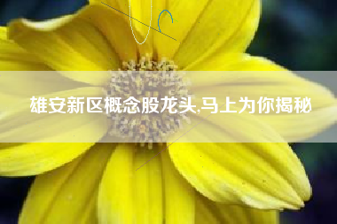 雄安新区概念股龙头,马上为你揭秘