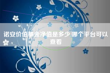 诺安价值基金净值是多少,哪个平台可以查看