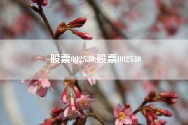 股票002530,股票002530