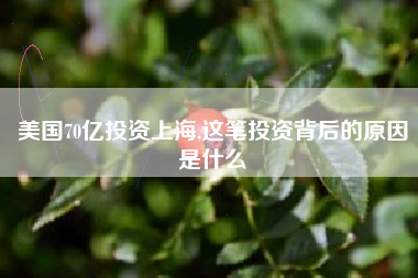 美国70亿投资上海,这笔投资背后的原因是什么