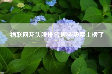 物联网龙头股排名,哪些股票上榜了