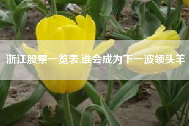 浙江股票一览表,谁会成为下一波领头羊