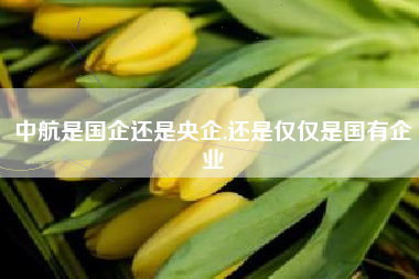 中航是国企还是央企,还是仅仅是国有企业