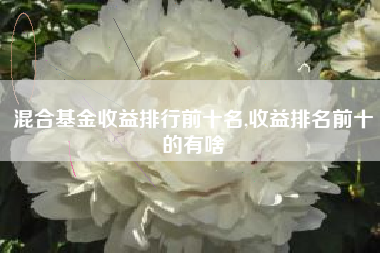 混合基金收益排行前十名,收益排名前十的有啥