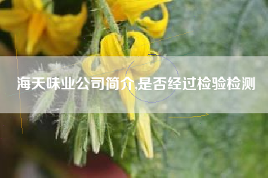 海天味业公司简介,是否经过检验检测