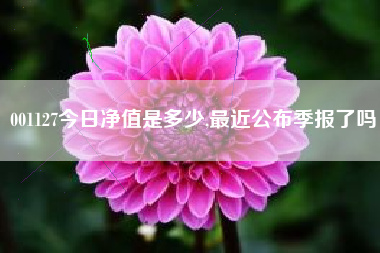 001127今日净值是多少,最近公布季报了吗