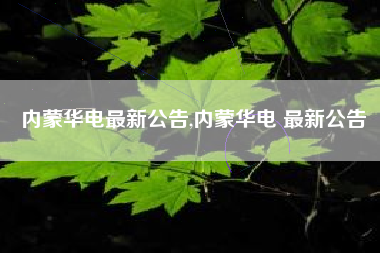内蒙华电最新公告,内蒙华电 最新公告