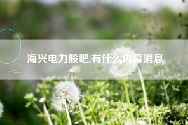 海兴电力股吧,有什么内幕消息
