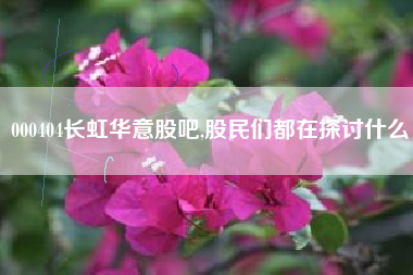 000404长虹华意股吧,股民们都在探讨什么