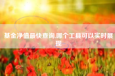 基金净值最快查询,哪个工具可以实时展现