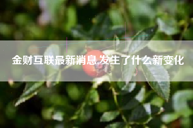 金财互联最新消息,发生了什么新变化