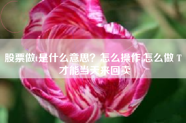 股票做t是什么意思？怎么操作,怎么做 T 才能当天来回卖