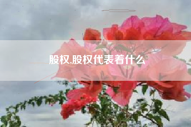 股权,股权代表着什么