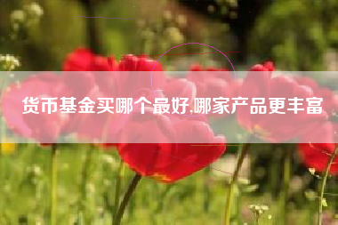 货币基金买哪个最好,哪家产品更丰富