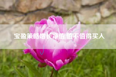 宝盈策略增长净值,值不值得买入