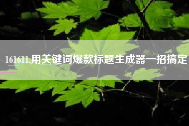 161611,用关键词爆款标题生成器一招搞定