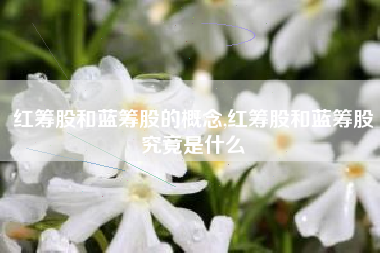 红筹股和蓝筹股的概念,红筹股和蓝筹股究竟是什么