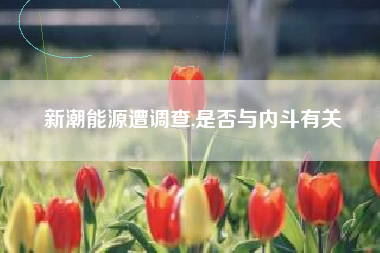 新潮能源遭调查,是否与内斗有关