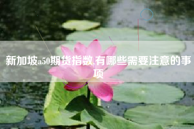 新加坡a50期货指数,有哪些需要注意的事项