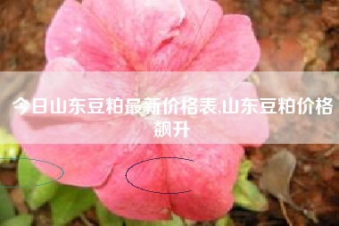 今日山东豆粕最新价格表,山东豆粕价格飙升