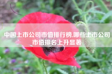 中国上市公司市值排行榜,哪些上市公司市值排名上升显著