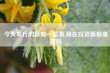 今天发行的新股一览表,现在投资新股靠谱吗