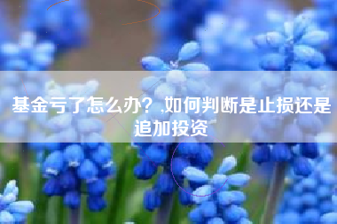 基金亏了怎么办？,如何判断是止损还是追加投资