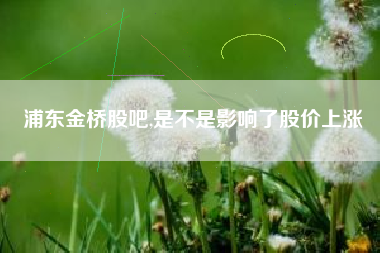 浦东金桥股吧,是不是影响了股价上涨