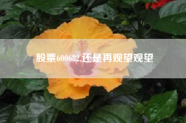 股票600682,还是再观望观望