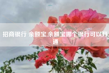 招商银行 余额宝,余额宝哪个银行可以开通