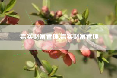 嘉实财富管理,嘉实财富管理