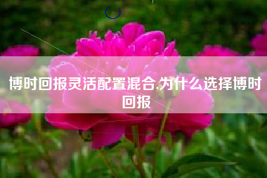 博时回报灵活配置混合,为什么选择博时回报