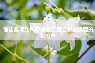 信达澳银红利回报基金,适合哪些类型的投资者