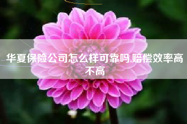 华夏保险公司怎么样可靠吗,赔偿效率高不高